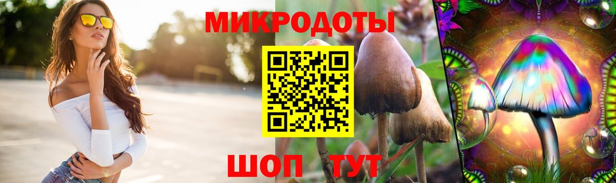 Галлюциногенные грибы Psilocybe  Вход с VPN  Вологда  Псилоцибиновые грибы GOLDEN TEACHER 